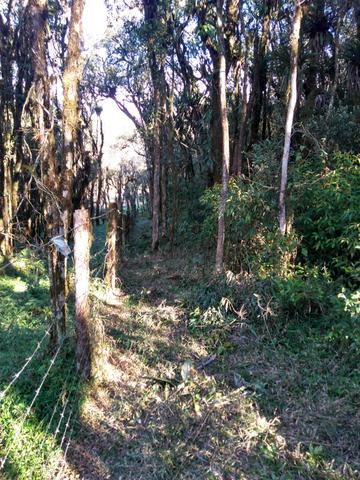 Chacara