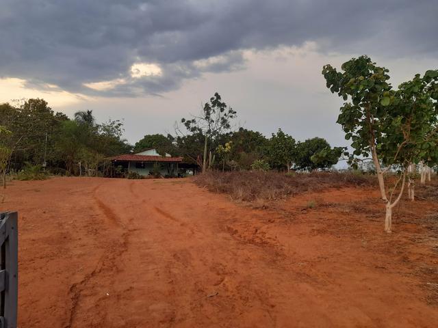 Fazenda mato grosso 170 mil reais Bom Jesus do Araguaia mt - Foto 2