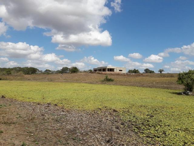 Cumaru=Vend. 15 mil p-Hect. Fazenda =Casa,Energia,Água,Piscina e muito mais - Foto 17