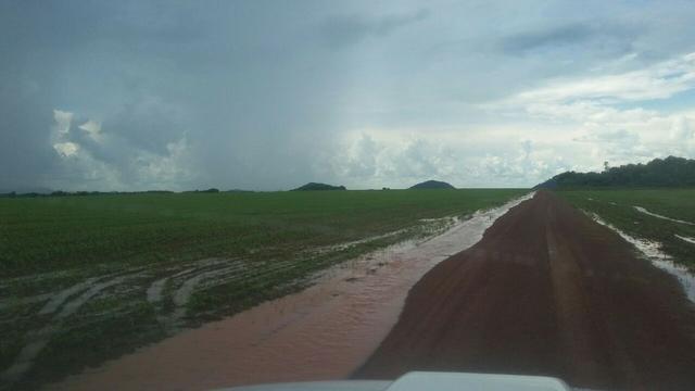 Fazenda de 16.250 Alqueires Paulista, Na Região de Confresa MT - Foto 17