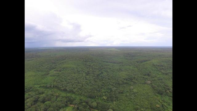 Fazenda, vende, aluga a garantia, permuta Lca,ouro,bitcoin, ações na bv - Foto 10