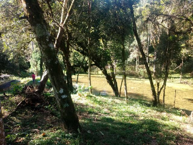 Sitio em agudos do sul - Foto 2
