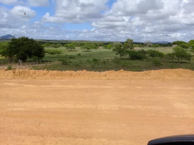 Excelente área de terra às margens da BR 116, com 614.196m - Foto 16