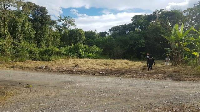 Terreno para formar Chácara - Foto 11