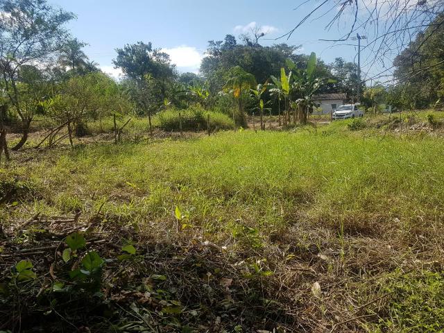 Terreno para formar Chácara - Foto 4