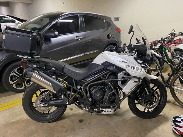 TRIUMPH TIGER 2019