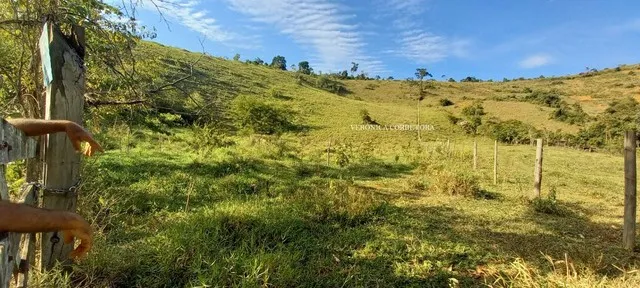 Otimo sitio venda em S. João Nepomuceno MG.