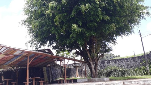  Chácara La Valenciana Ipojuca-PE. - Foto 4