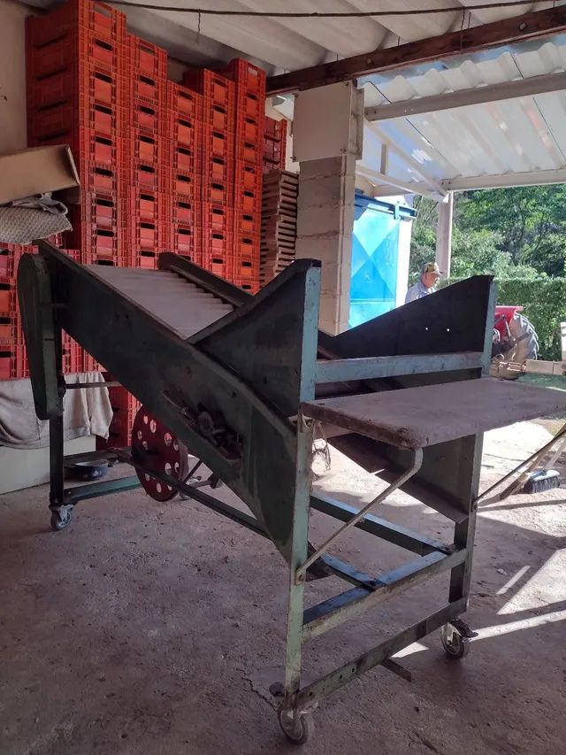 Máquina de pré classificação de frutas - Foto 5