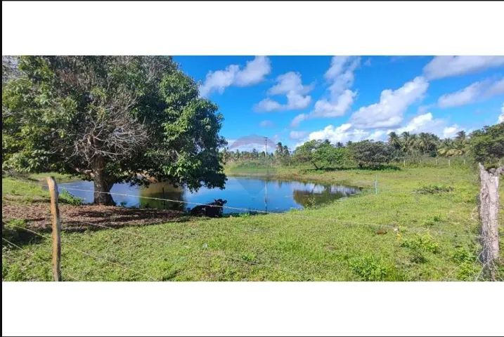 Sítio Próximo ao Condomínio Morada do Rio(5 tarefas) - Foto 8