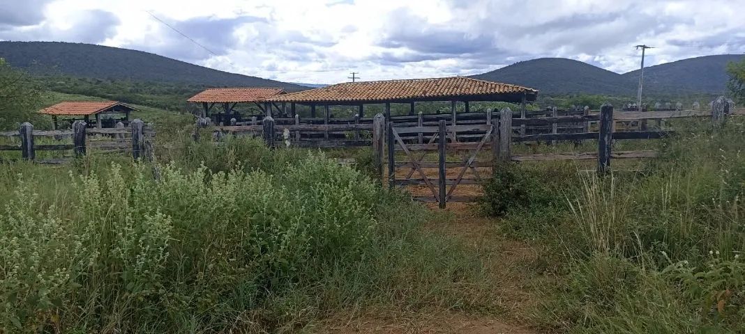 FAZENDA KM 70 BR 116 SUL - Foto 4