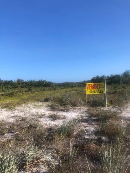 foto - Aracaju - Jabotiana