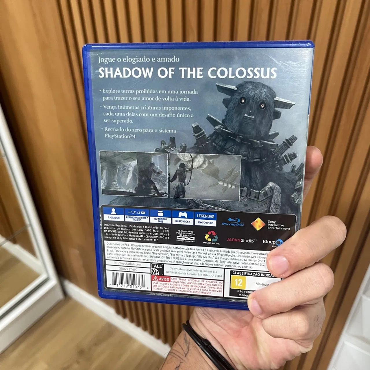 Shadow of the Colossus PS4 - Foto 3