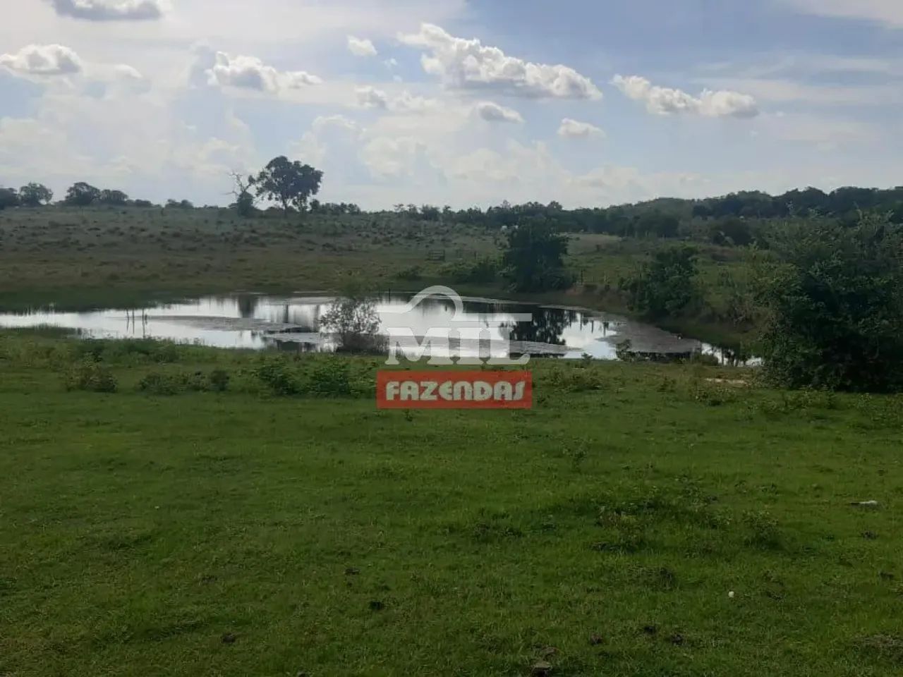 Fazenda 100 alqueires (484 hectares) Morzalandia -  GO - Foto 4