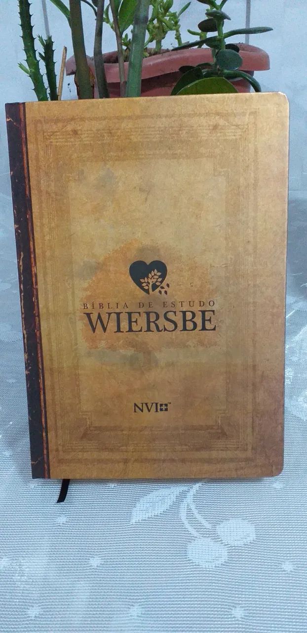 Bíblia de Estudo Wiersbe I Mesmo Autor do Comentário Bíblico Tradução NVI