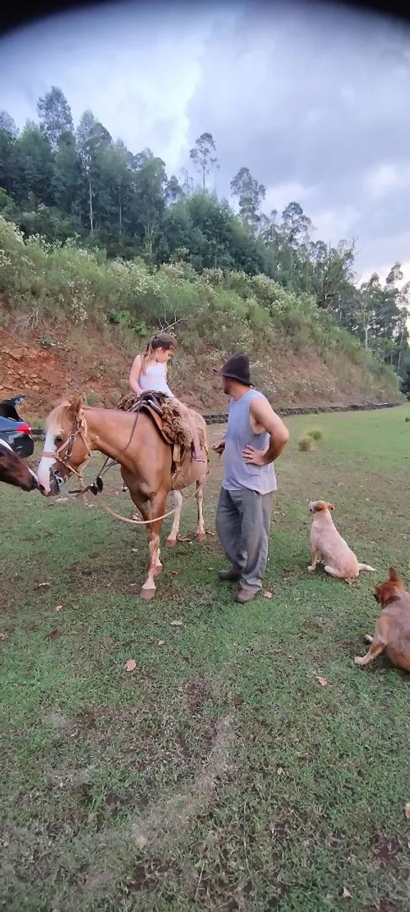 Vendo égua com potro