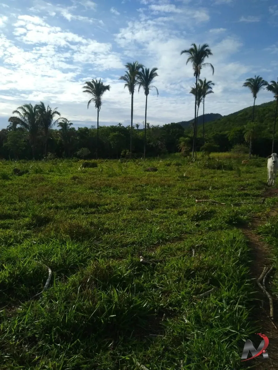 CHACARA A VENDA APÓS SANTA ROSA
