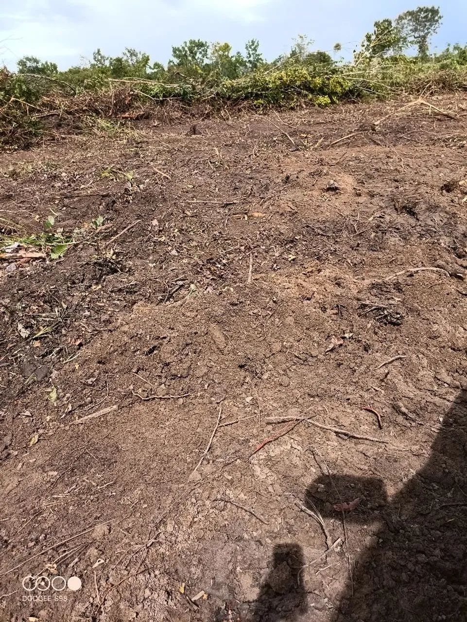 Fazenda de arrendamento 5.000 hec em Fátima no Tocantins - Foto 4
