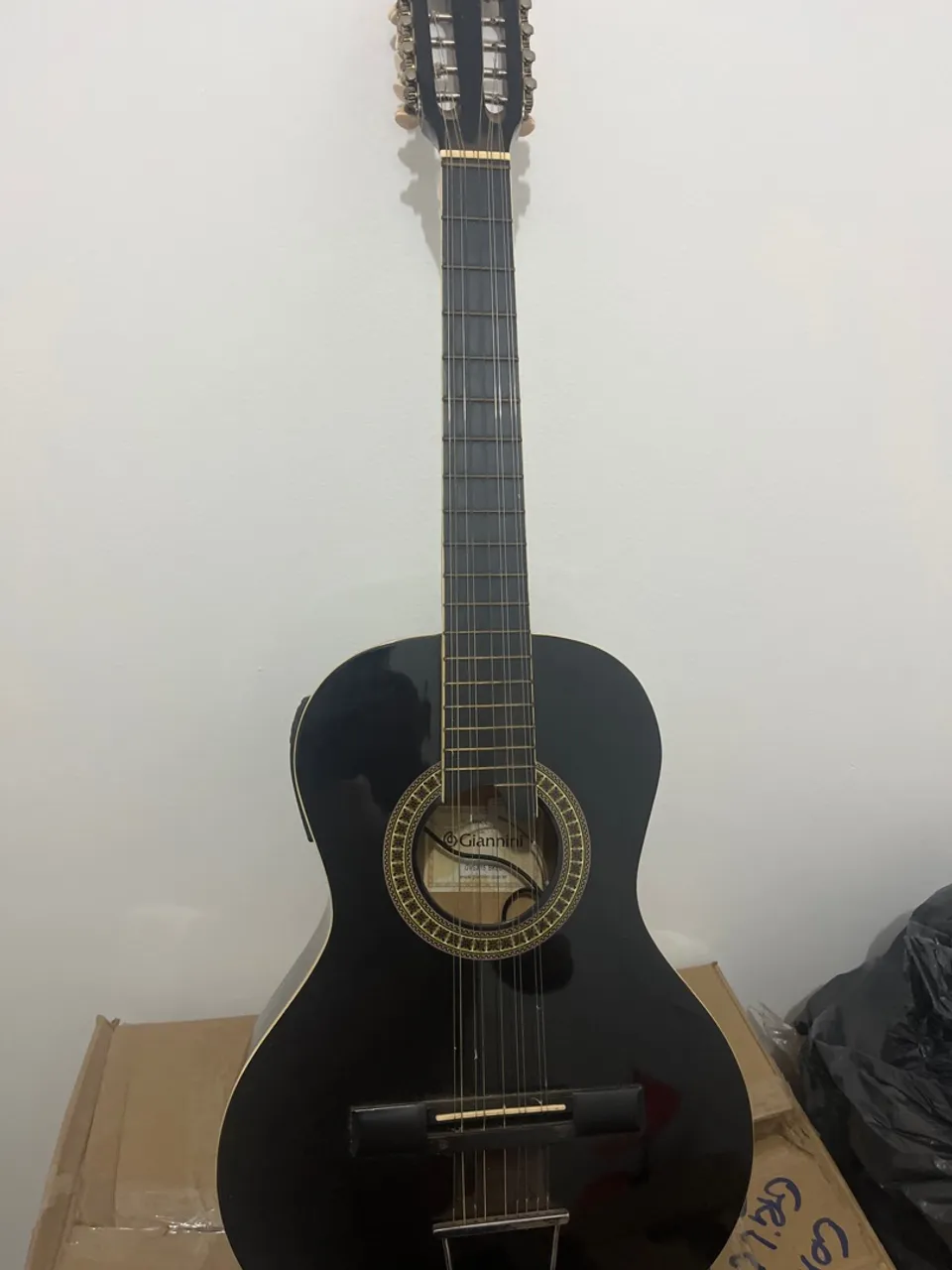 Viola caipira 10 cordas gianini