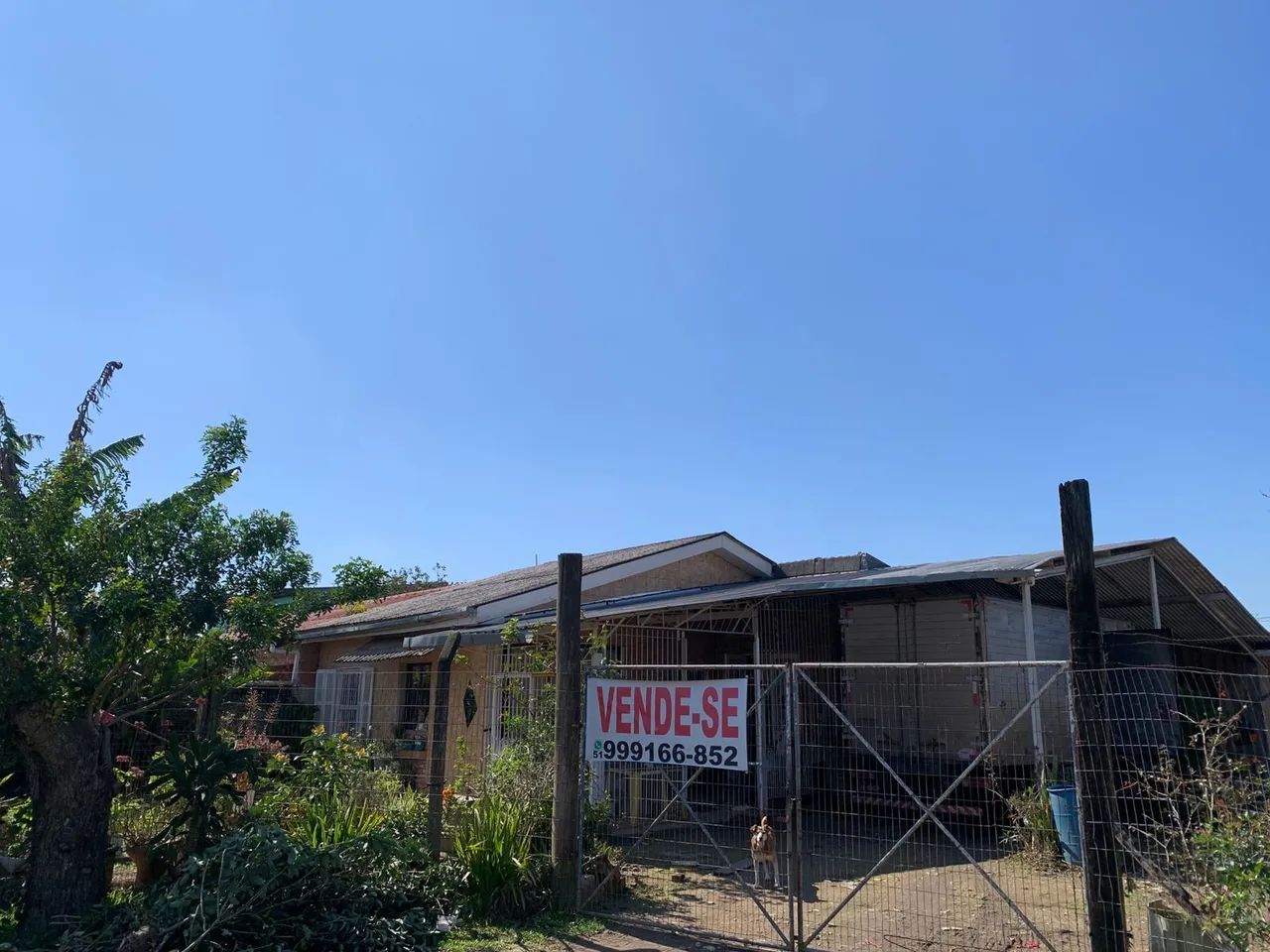 Foto - Alvorada - Umbu