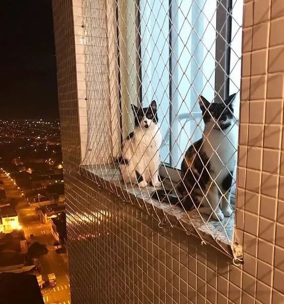 Redes de proteção para seu lar  - Foto 5