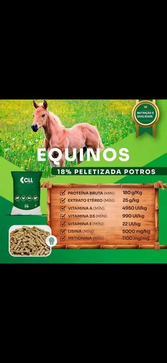 Ração de qualidade, preço especial. 