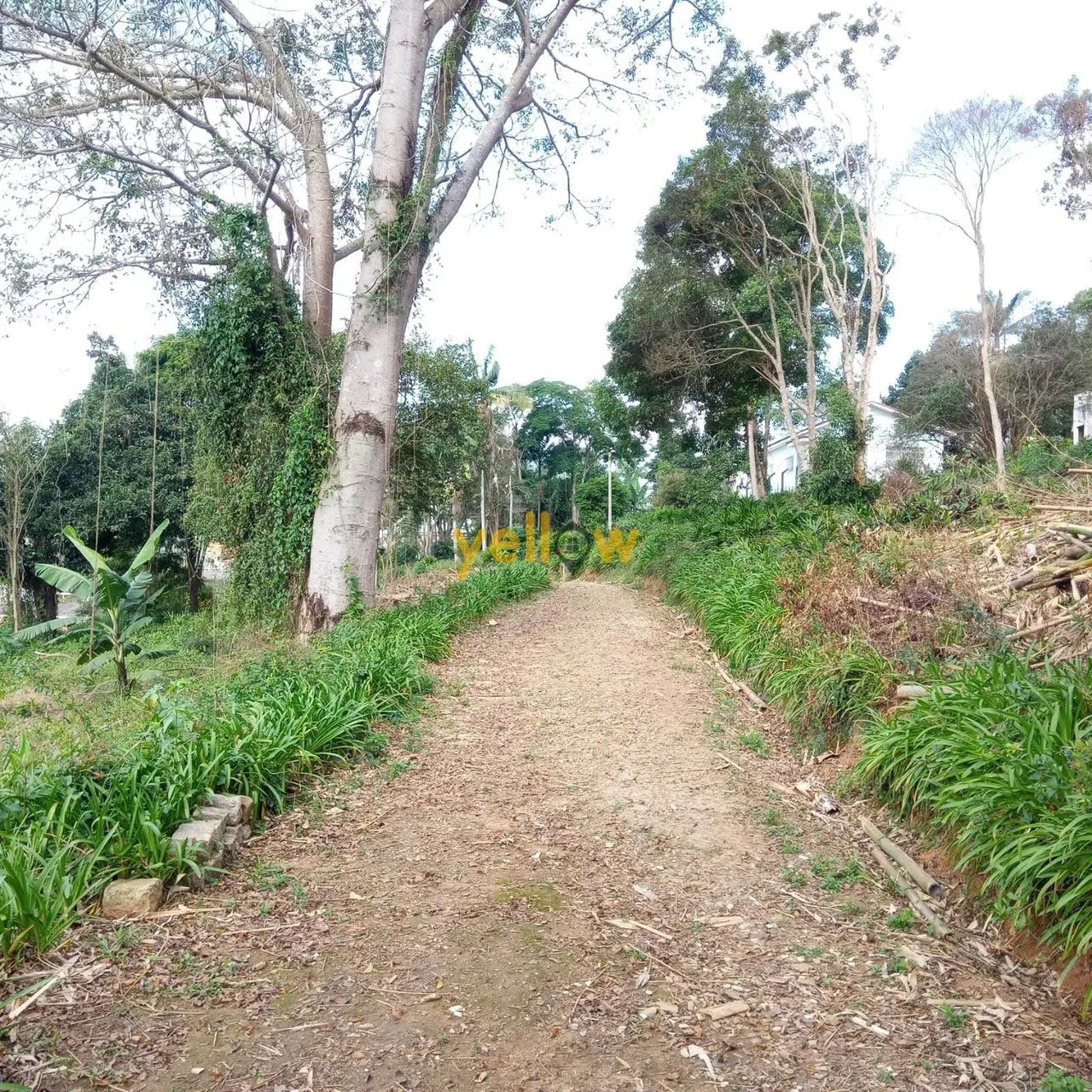 Chacara em Jardim Alto da Boa Vista - Suzano