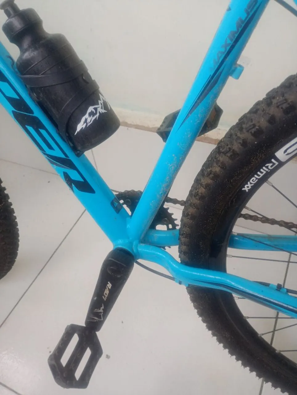 Bicicleta