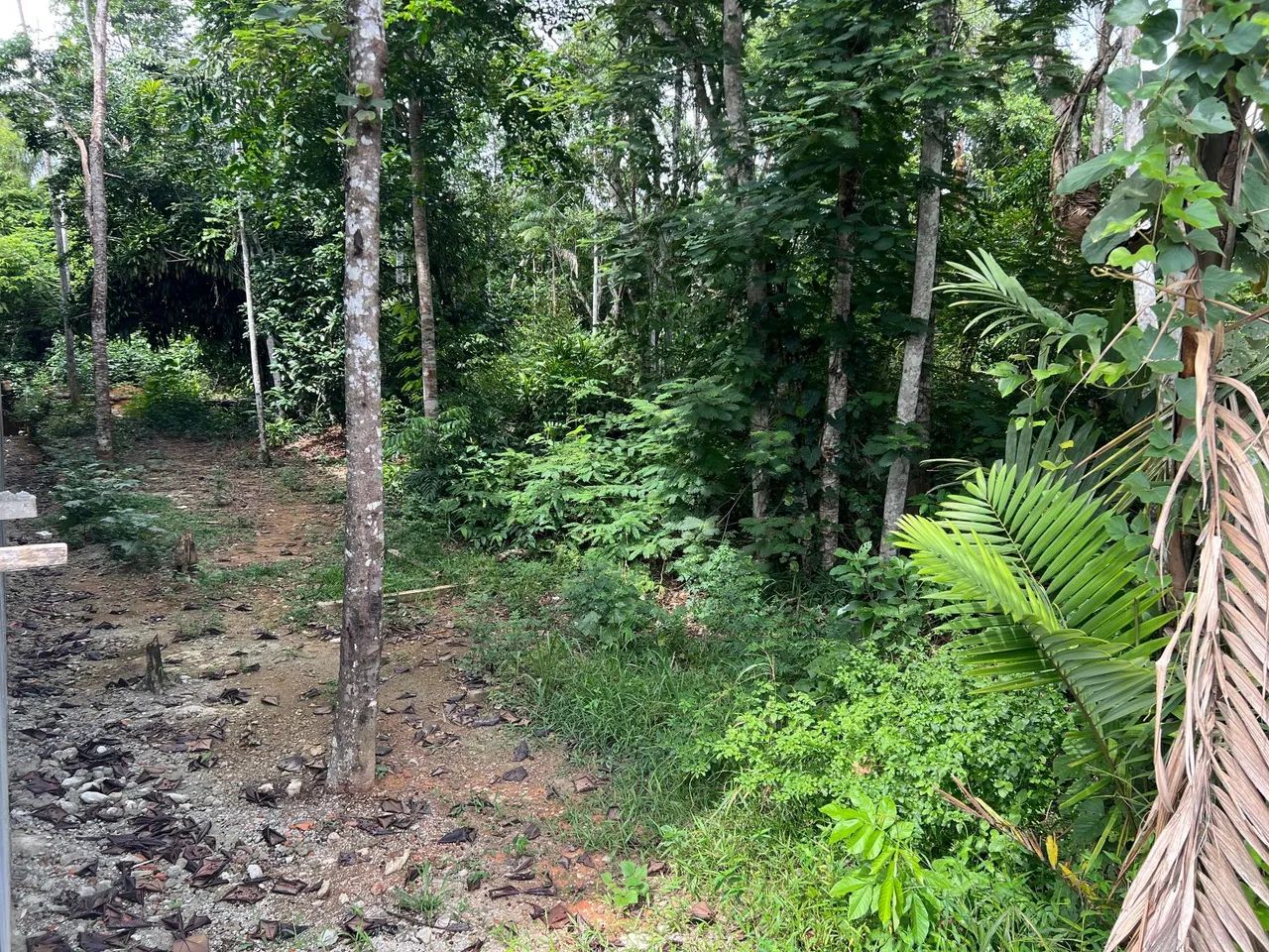 TERRENO 10 X 40 - TARUMÃ  - Foto 4