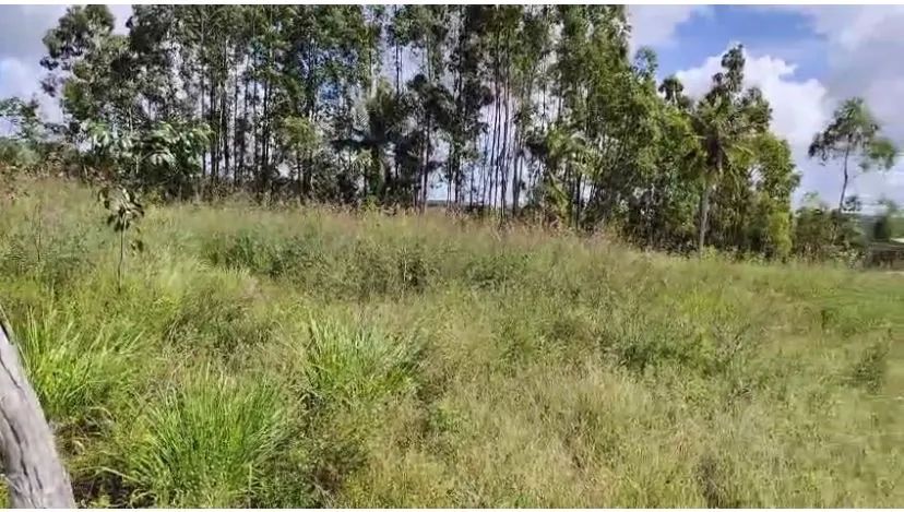 Foto - Aracaju - Luzia