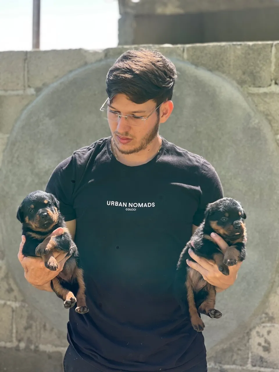 Filhote de rottweiler