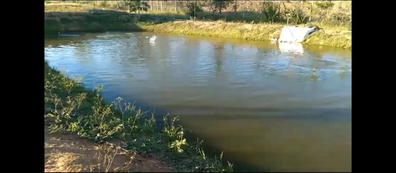 Ótima Estrutura Numa Área 5 hectares.100% Aproveitável..Aceita veículo/imóvel.. - Foto 6