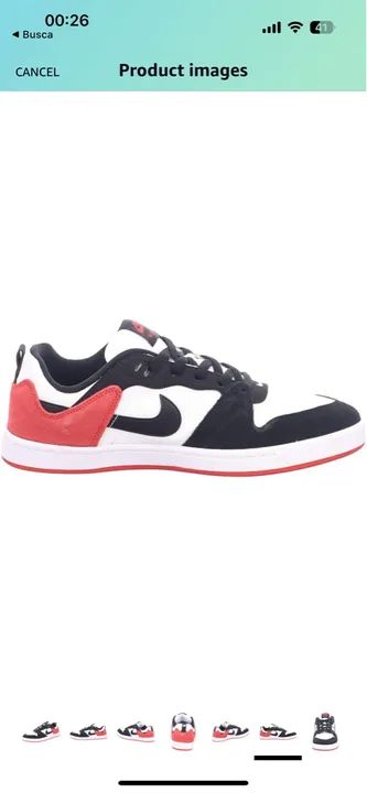 Tênis Masculino Nike SB ALLEYOOP Tamanho 40- Novo na caixa