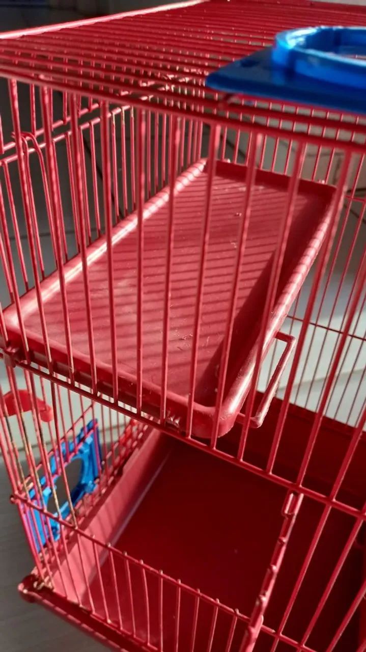 Gaiola hamisther completo 