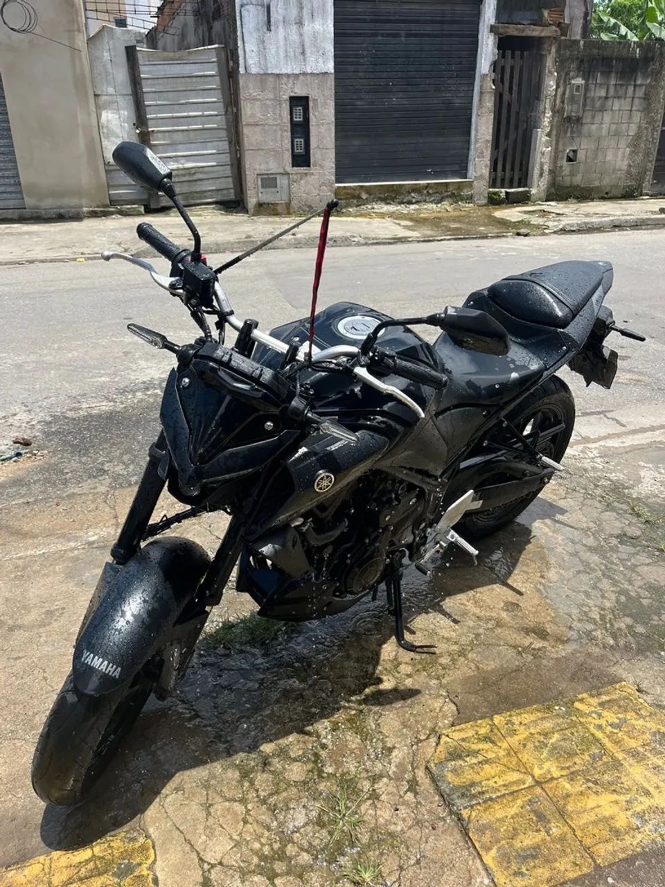 MT 03, 2024  - Foto 2