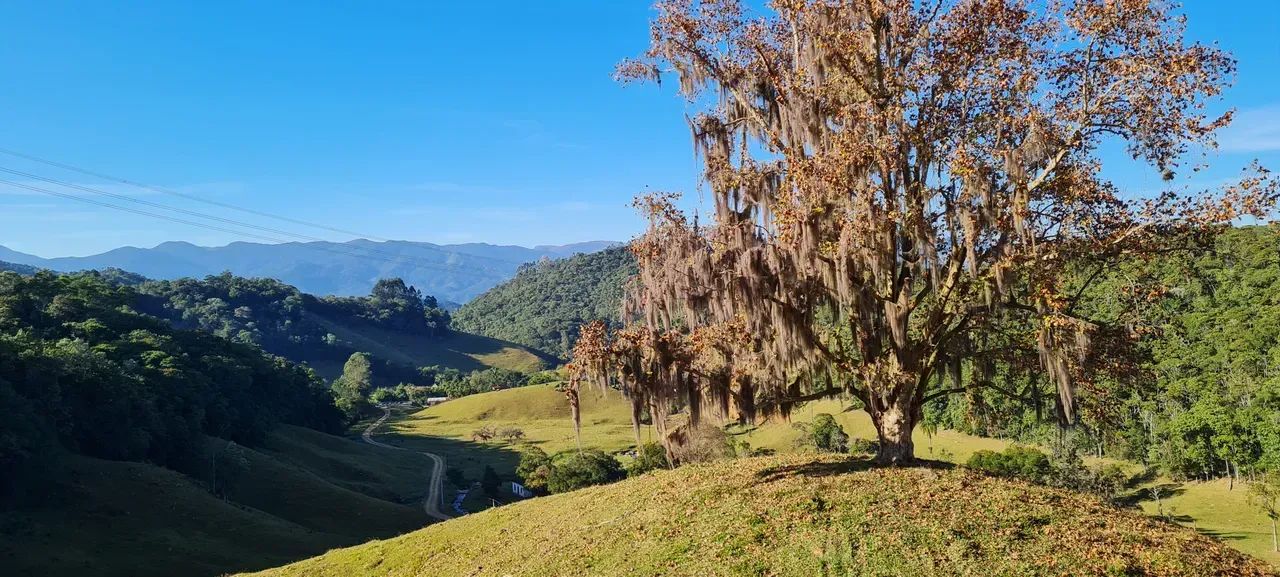 Sitio com linda vista em Águas Mornas - SC - Foto 3