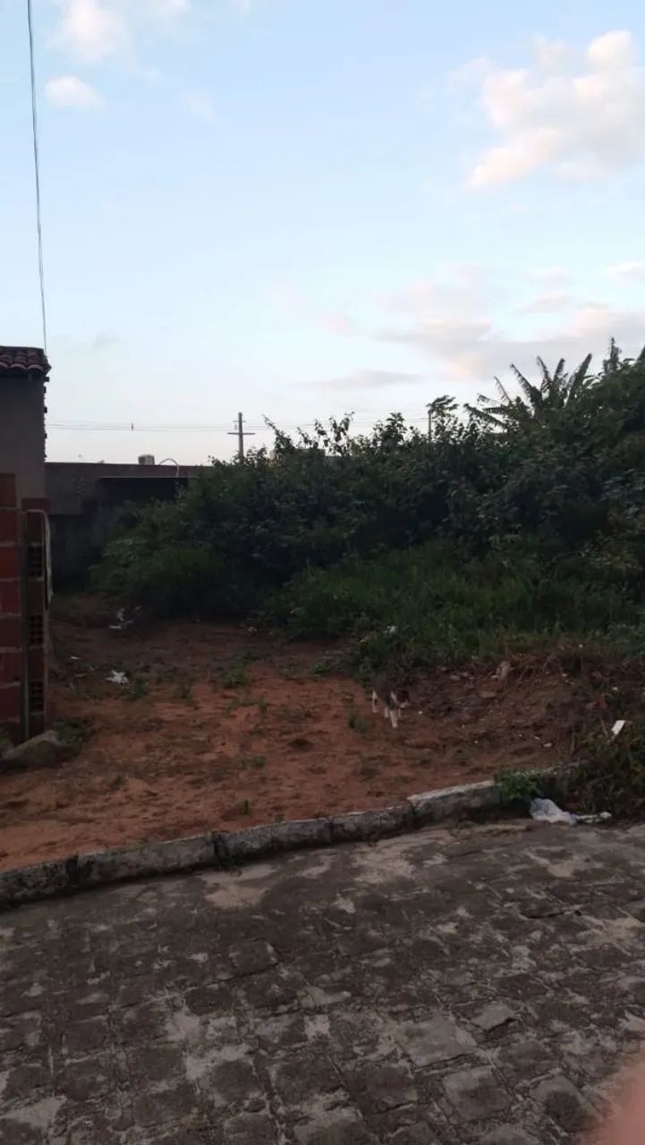 Vendo terreno no conde totalmente financiado - Foto 4