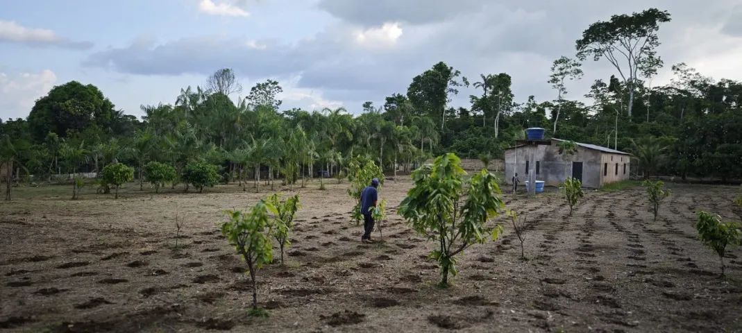 Chacara 5600m2 ramal dos coco - Foto 2