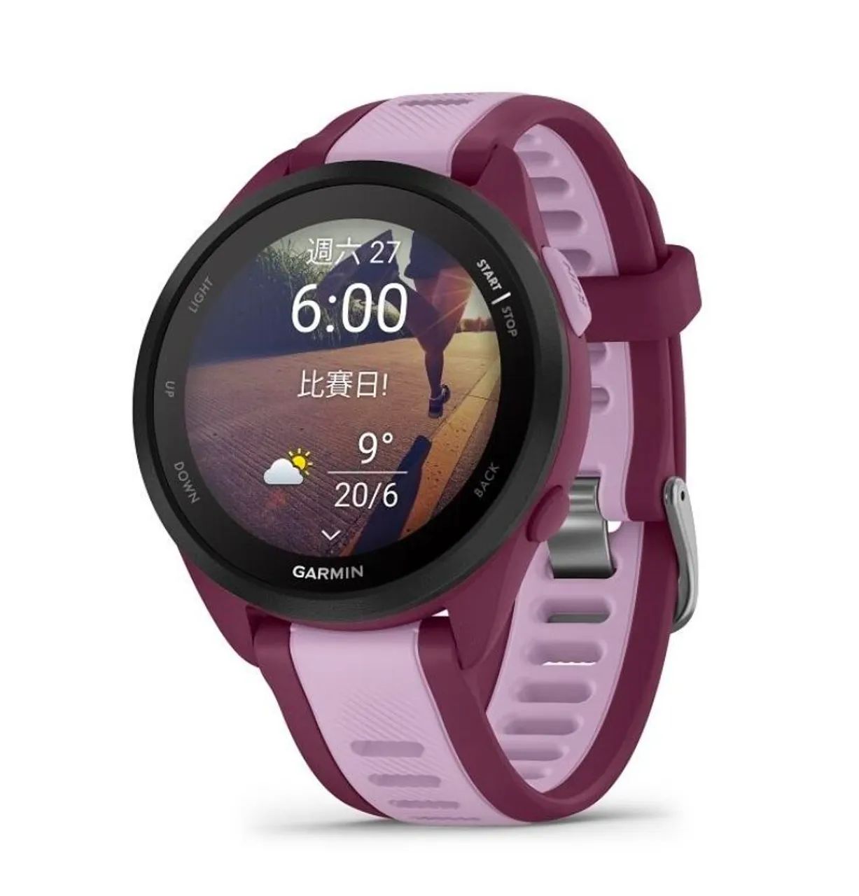Garmin 165 Music 