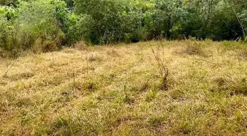 Recanto das aguas em bom repouso - Foto 3