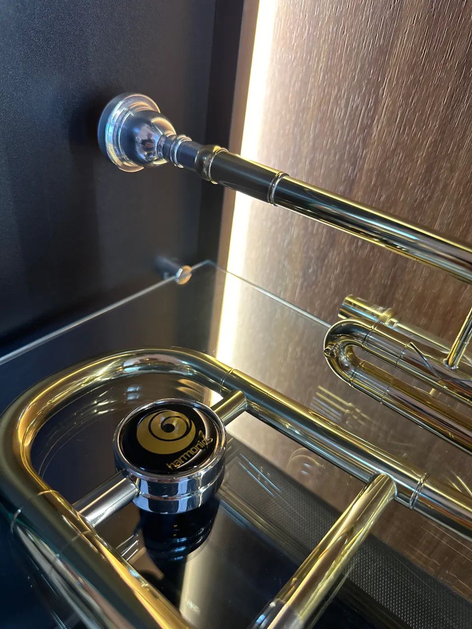 Trombone Longo Si bemol - Harmonics - Foto 4