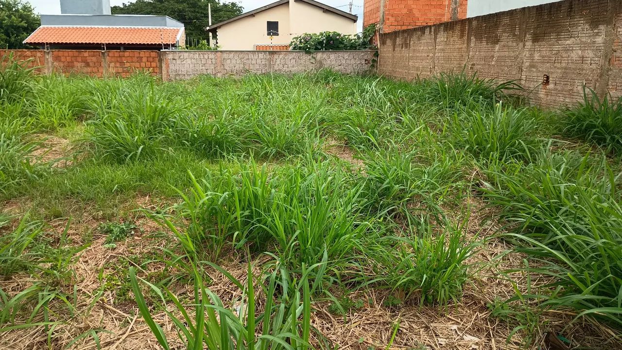 Foto - Olímpia - 