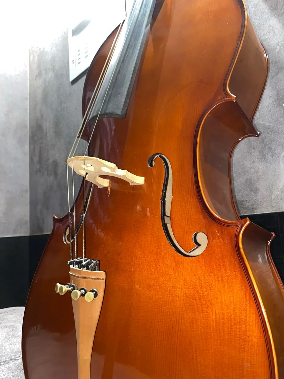 VIOLONCELLO EAGLE CE 200 4x4 - Foto 2