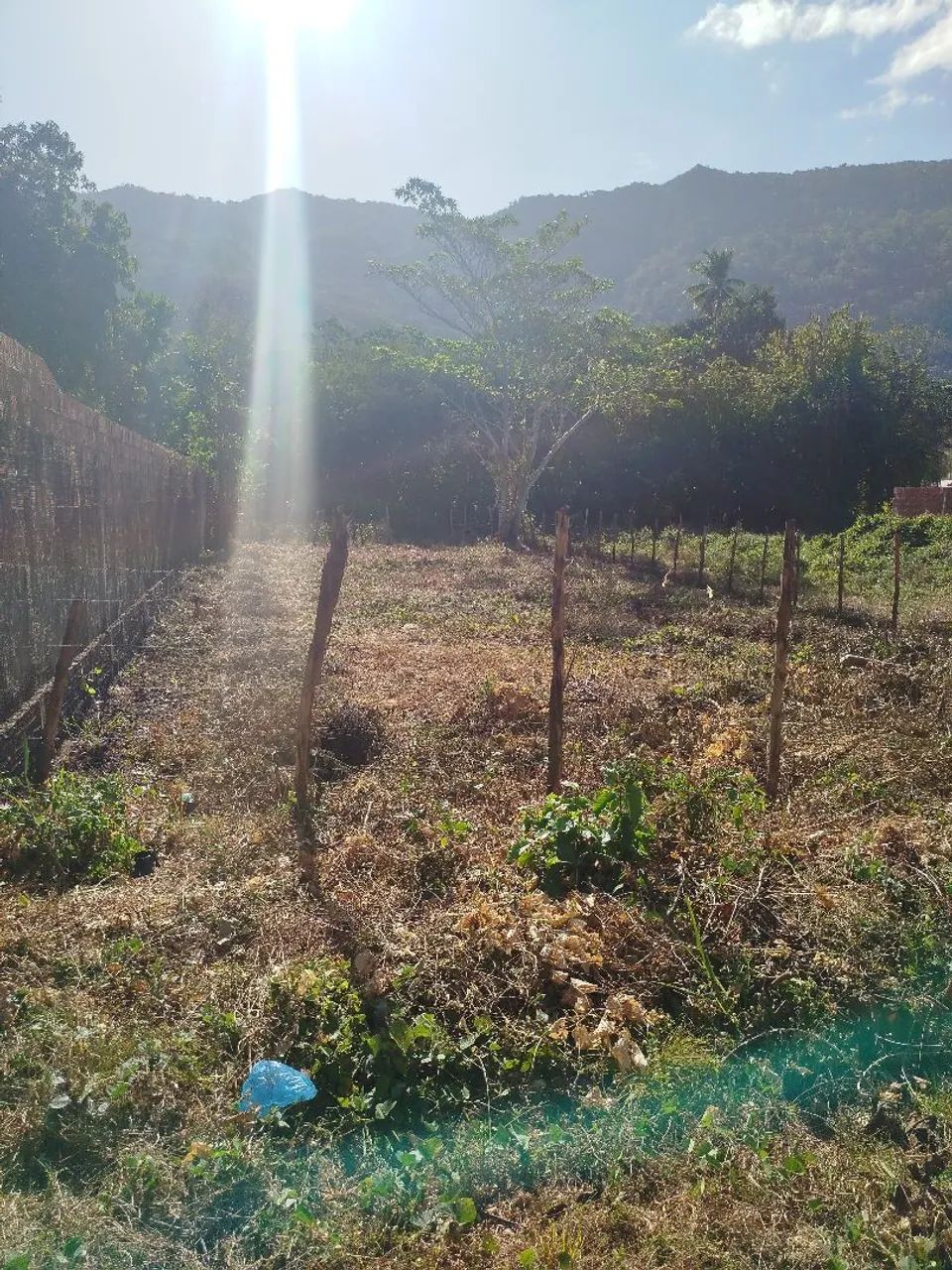 LOTE NA ÁREA CENTRAL DE PACATUBA - Foto 2