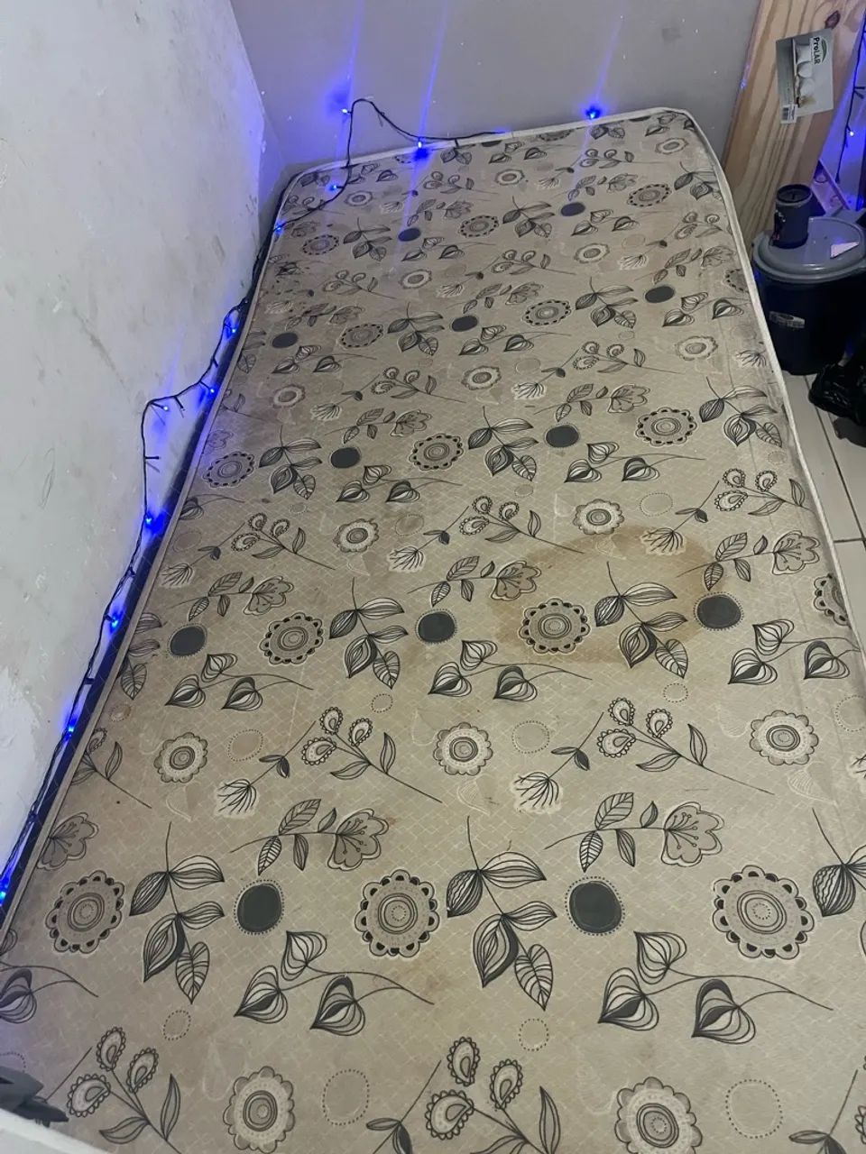 Cama 