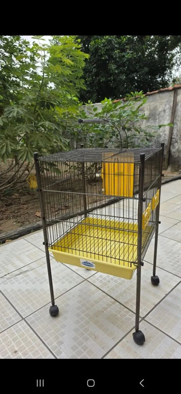 Gaiola aves  - Foto 3