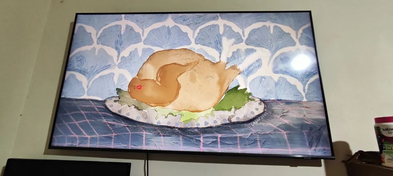 Televisão - Foto 2