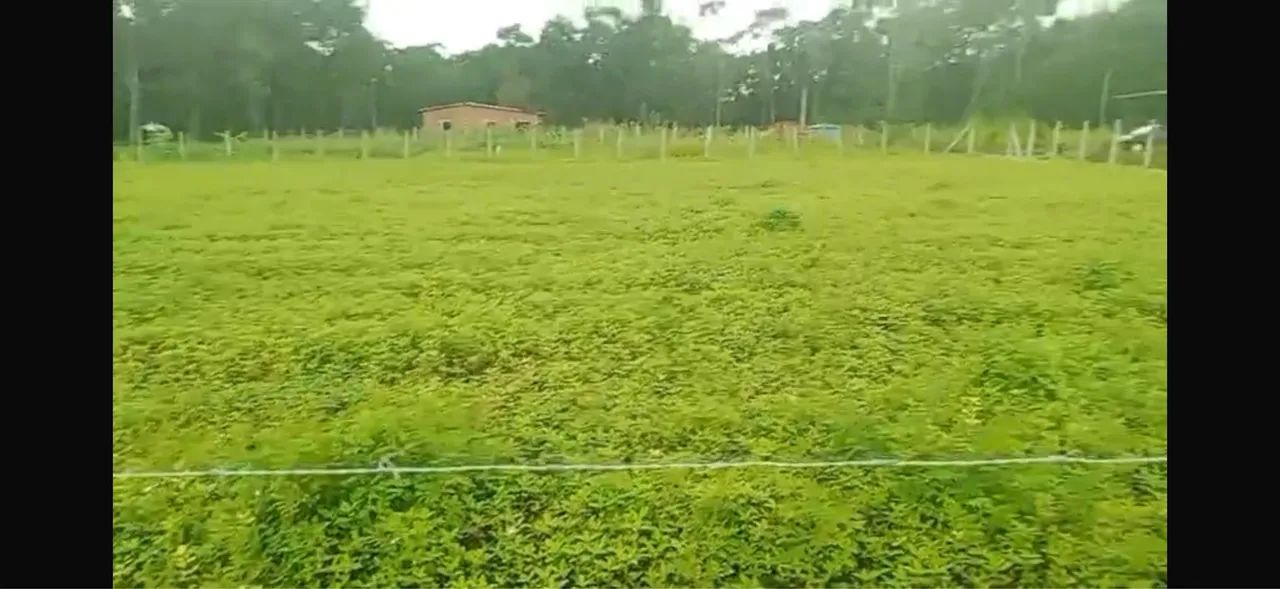 Terreno em Aldeia 