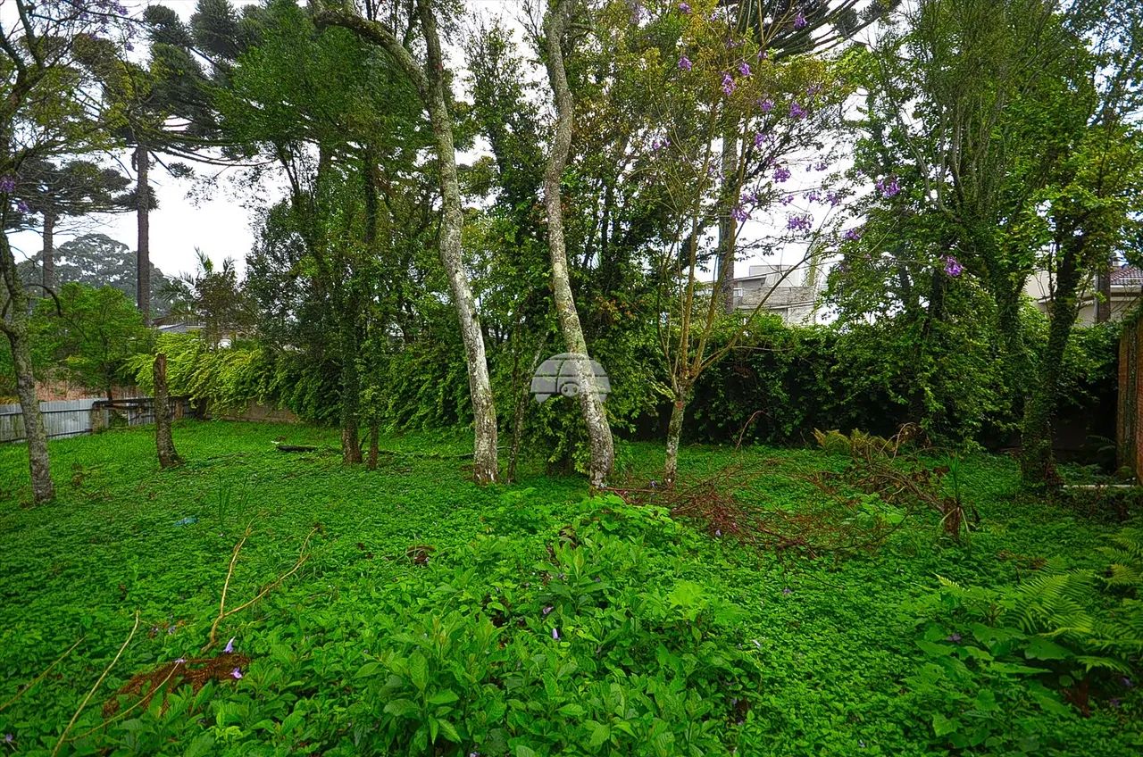 Vendas Terreno Curitiba PR - Foto 5