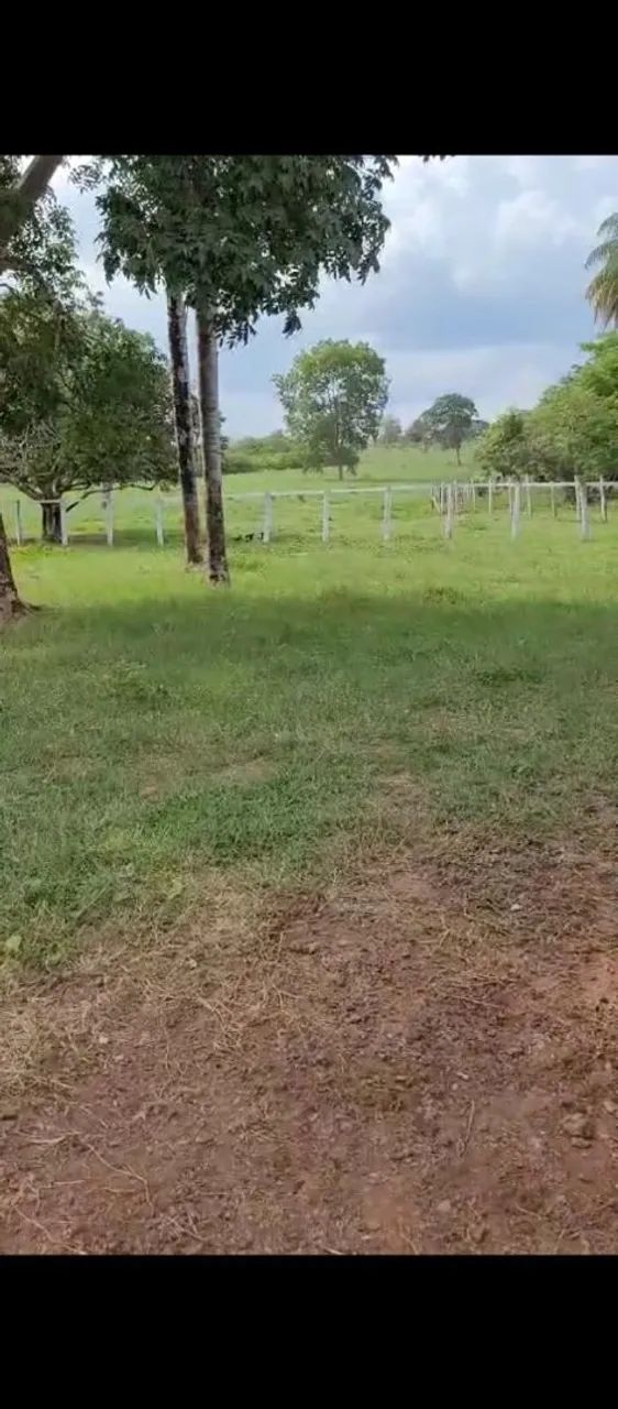 Fazenda no Maranhão  - Foto 3